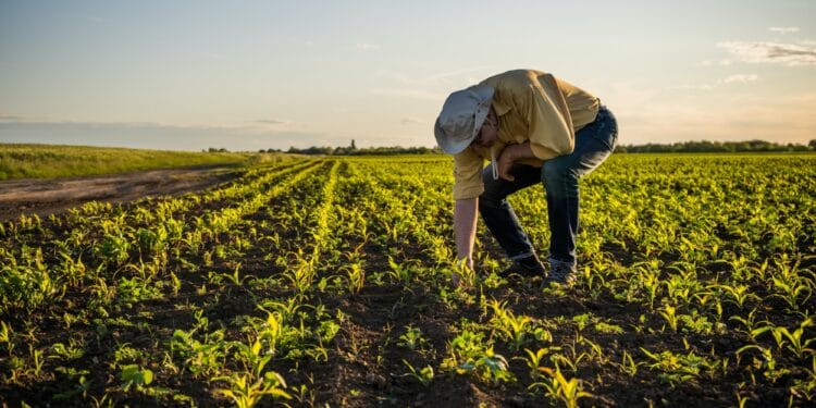 agriculture