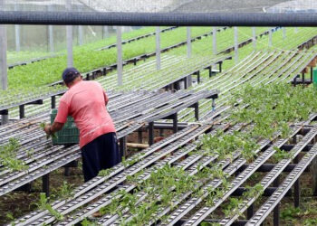 agricultura