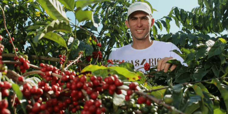 Frente Parlamentar do Café é relançada, coop representa 55% da produção nacional