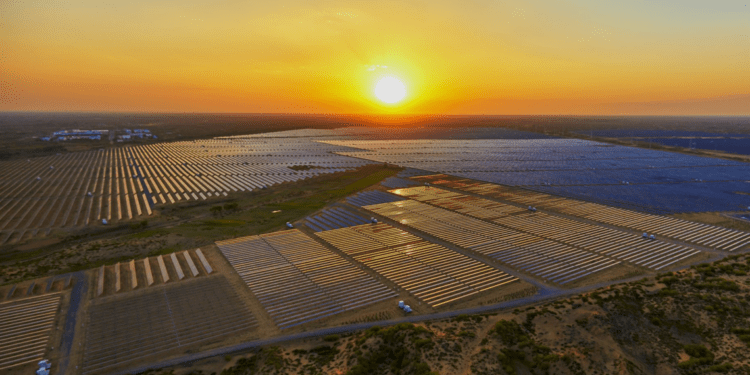 Cooperativa evita emissão de 24 mil toneladas de poluentes com usina de energia solar própria