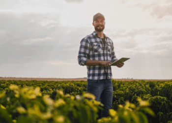 Cooperativas agro terão mais de R$ 25 milhões em crédito através do Pronaf