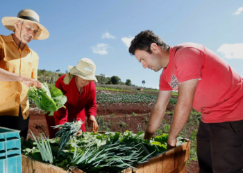 Representante do governo declara que cooperativismo é essencial para produção sustentável de alimentos