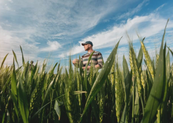 Cooperativas agrícolas do Rio de Janeiro registram aumento de 70% em seu faturamento