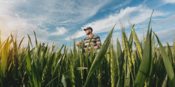 Cooperativas agrícolas do Rio de Janeiro registram aumento de 70% em seu faturamento