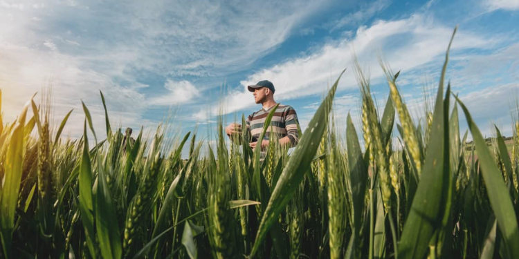 Cooperativas agrícolas do Rio de Janeiro registram aumento de 70% em seu faturamento