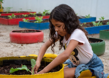 Cooperativa ensina cultivo de alimentos a alunos para evitar o desperdício nas escolas