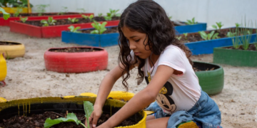 Cooperativa ensina cultivo de alimentos a alunos para evitar o desperdício nas escolas