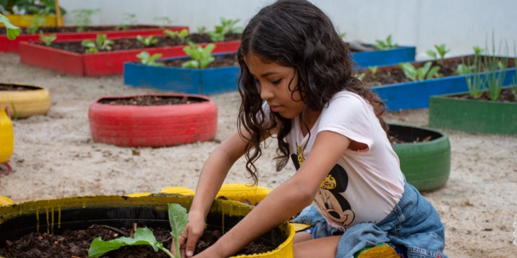 Cooperativa ensina cultivo de alimentos a alunos para evitar o desperdício nas escolas