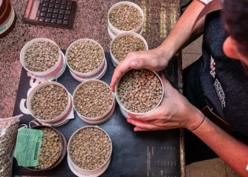 Cooperativa chega aos Estados Unidos levando a qualidade dos cafés do Cerrado Mineiro