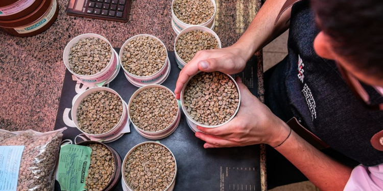 Cooperativa chega aos Estados Unidos levando a qualidade dos cafés do Cerrado Mineiro