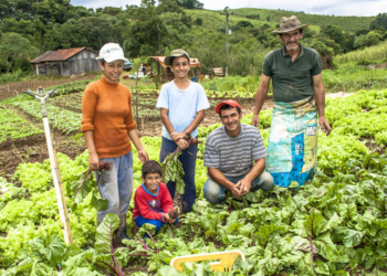 Cooperativismo quer contribuir para o fortalecimento e estímulo à agricultura familiar