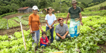 Cooperativismo quer contribuir para o fortalecimento e estímulo à agricultura familiar