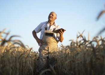 Empresas anunciam parceria para digitalização do agronegócio