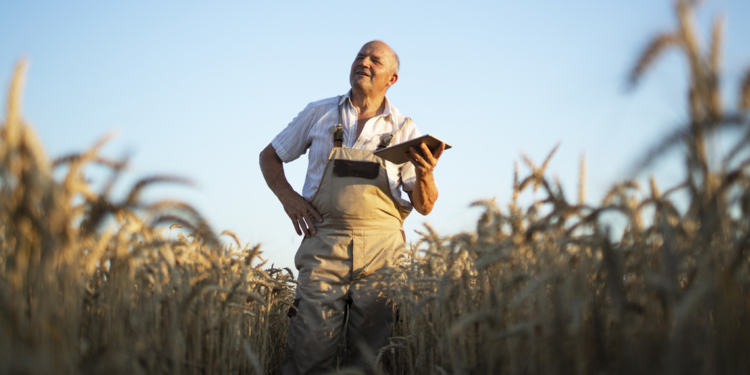 Empresas anunciam parceria para digitalização do agronegócio