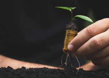 Financiamento para o setor agropecuário é uma prioridade diz CNA