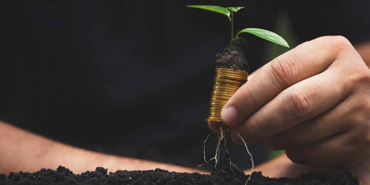 Financiamento para o setor agropecuário é uma prioridade diz CNA