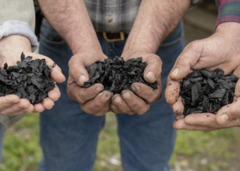 Cooperativa participa de parceria para 1ª fábrica de biochar da América Latina