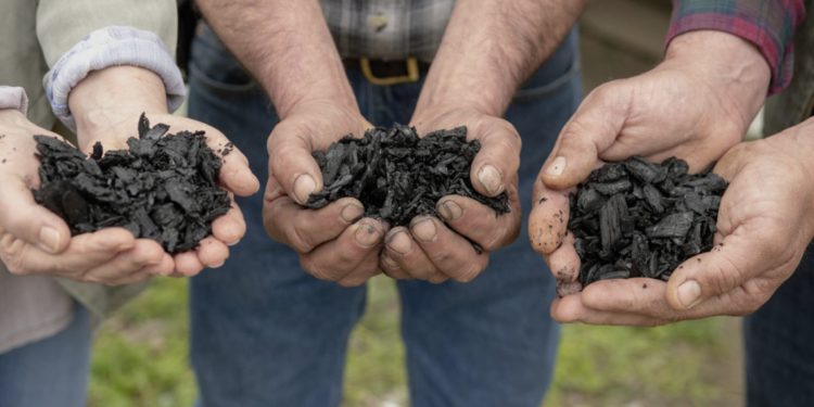 Cooperativa participa de parceria para 1ª fábrica de biochar da América Latina