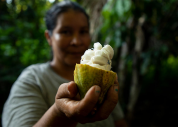 Bioeconomia no Brasil deve gerar US$ 284 bi ao ano e fortalecer cooperativas