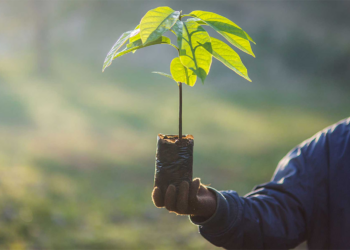 Cases de sucesso tornam as cooperativas um fenômeno nacional de sustentabilidade