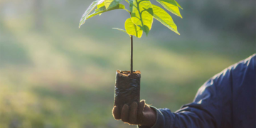 Cases de sucesso tornam as cooperativas um fenômeno nacional de sustentabilidade