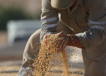 Cooperativas lideram facilitação de crédito para agro sustentável no país