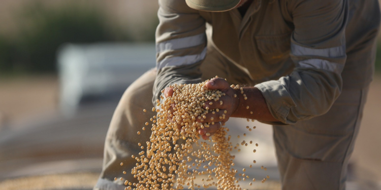 Cooperativas lideram facilitação de crédito para agro sustentável no país