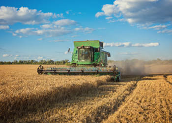 Crédito rural supera R$ 290 bilhões em dez meses