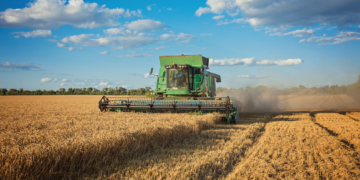 Crédito rural supera R$ 290 bilhões em dez meses