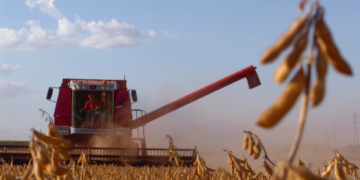 Agro dispara em 2023 e mantém setor otimista