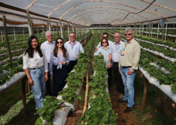 Paraná reforça apoio à agricultura familiar com investimentos em cooperativa de Maringá