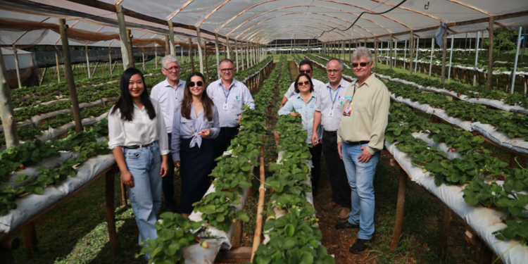 Paraná reforça apoio à agricultura familiar com investimentos em cooperativa de Maringá