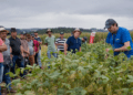 Cooperativas de agronegócio foram as que mais geraram postos de trabalho em 2022
