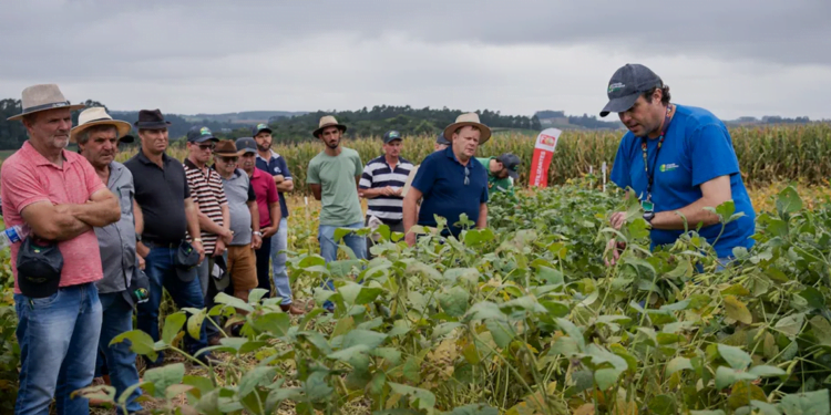 Cooperativas de agronegócio foram as que mais geraram postos de trabalho em 2022