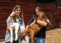 Paraná propõe implementar cooperativas-escolas para potencializar colégios agrícolas