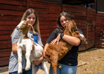 Paraná propõe implementar cooperativas-escolas para potencializar colégios agrícolas