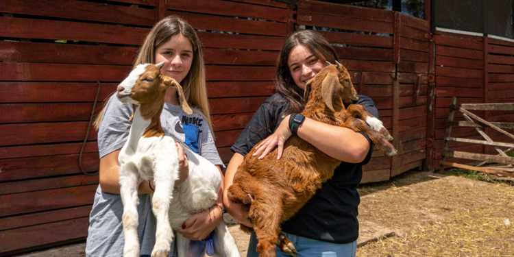 Paraná propõe implementar cooperativas-escolas para potencializar colégios agrícolas