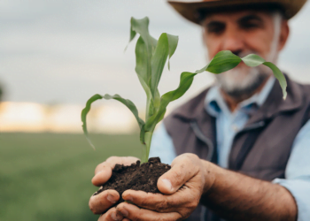 Crescimento das cooperativas agrícolas em Palmas é tema de projeto de pesquisa