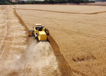 Linhas de crédito alternativas ao Safra são oferecidas durante a Agrishow 2023