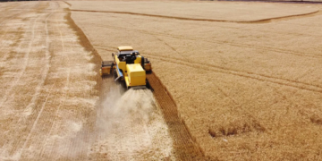 Linhas de crédito alternativas ao Safra são oferecidas durante a Agrishow 2023