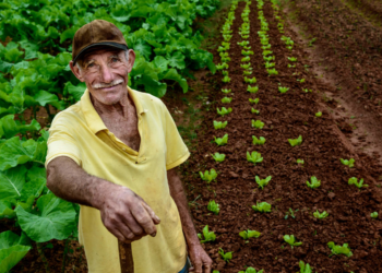 Mogi cria programa para incentivar o pequeno agricultor e cooperativas