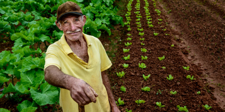 Mogi cria programa para incentivar o pequeno agricultor e cooperativas