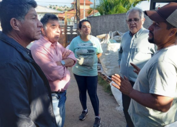 Renda de casal de catadores aumenta 10 vezes após consultoria e vendas para cooperativa