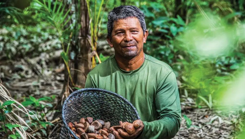 Na Amazônia, 40 cooperativas de agricultures pequenos terão apoio da Natura através do projeto 'Amazônia Viva'