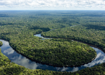 Brasil está em posição de vantagem para superar mudanças climáticas, diz Banco Mundial