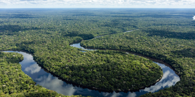 Brasil está em posição de vantagem para superar mudanças climáticas, diz Banco Mundial