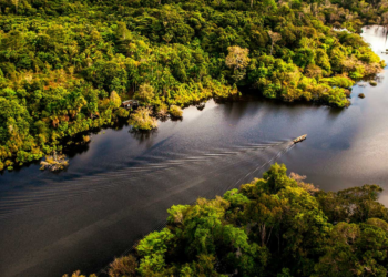 Bioeconomia no Brasil pode gerar US$ 284 bi ao ano e fortalecer cooperativas