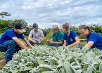 Aprovado funcionamento de Cooperativas-Escolas nos colégios agrícolas do Paraná