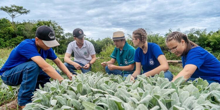 Aprovado funcionamento de Cooperativas-Escolas nos colégios agrícolas do Paraná