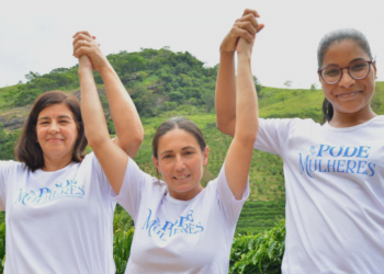 Mulheres se destacam na produção da cafés especiais em Minas Gerais